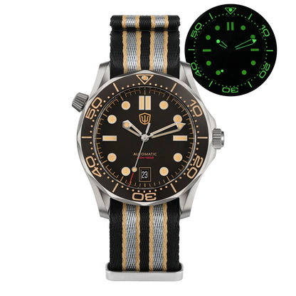 Watchdives WD007 V2 39mm Titanium Dive Watch PT5000 Automatic Movement Luminous 200m Waterproof Domed Bubble Sapphire Watches