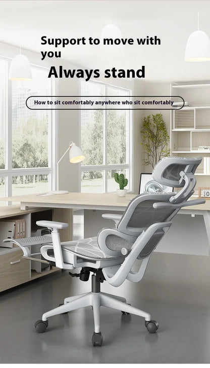 OEING High Back Ergonomic Office Chair with 3D Headrest, Adjustable Lumbar Support, 3D Armrests, Reclining Computer Gaming Chair
