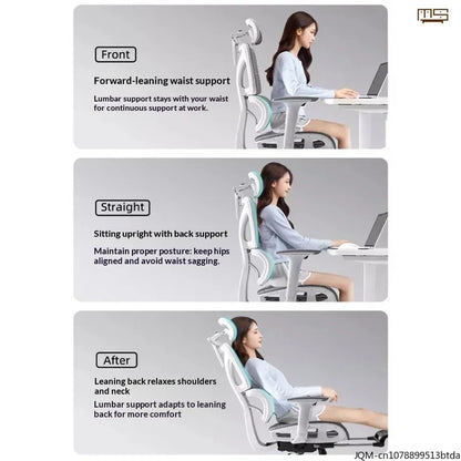 Comfortable Ergonomic Study Chair Waist Home Computer Relaxing Chair Office Chair High Back Ergonomic Chairs Office Furniture