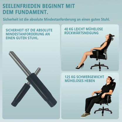 Desk Chair Ergonomic Office Chair with 135° Recline, 3D Breathable Nylon Net, Adjustable Neck & Lumbar Support, B