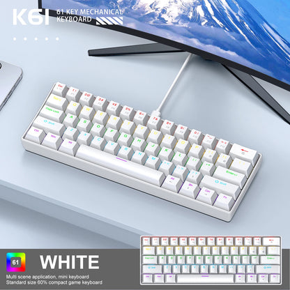 APAYADO K61 60% Mechanical Keyboard Wired RGB, 61 Keys Mini Gaming Keyboard with Red/Blue Switches, Compact RGB Mechanical Keyboard for PC & Laptop