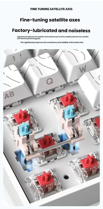 Clavier mécanique filaire K61 USB Mini Gaming, remplaçable à chaud, avec câble détachable