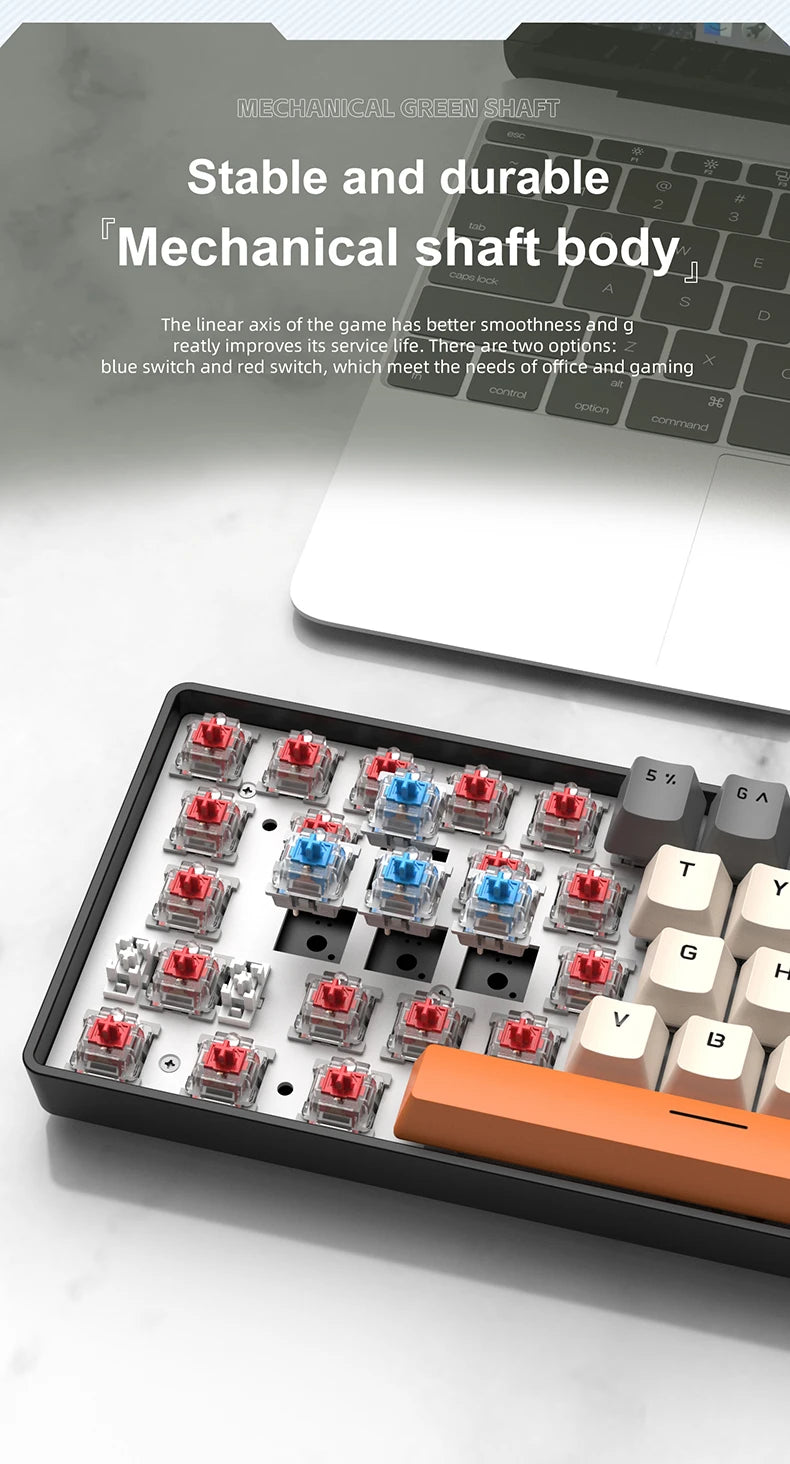 APAYADO K61 60% Mechanical Keyboard Wired RGB, 61 Keys Mini Gaming Keyboard with Red/Blue Switches, Compact RGB Mechanical Keyboard for PC & Laptop