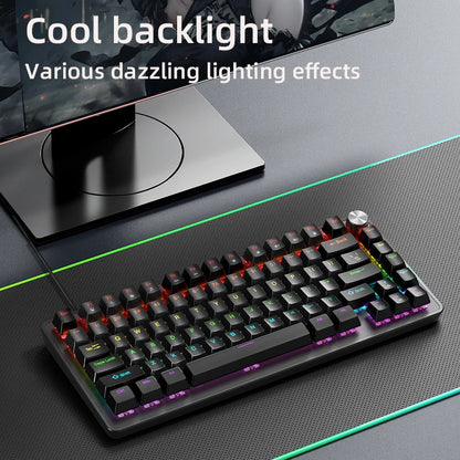 APAYADO 75% Mechanical Keyboard Wired Gaming Keyboard with Media Knob, Hot-Swappable RGB Backlit 82-Key Mechanical Keyboard for PC & Laptop