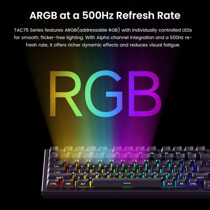 Teclado AKKO TAC75 HE con interruptores magnéticos, teclado gaming 75%, Rapid Trigger 0.005mm, 8K RGB, con cable, teclado personalizado para esports para gamers