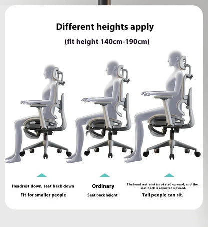 OEING High Back Ergonomic Office Chair with 3D Headrest, Adjustable Lumbar Support, 3D Armrests, Reclining Computer Gaming Chair