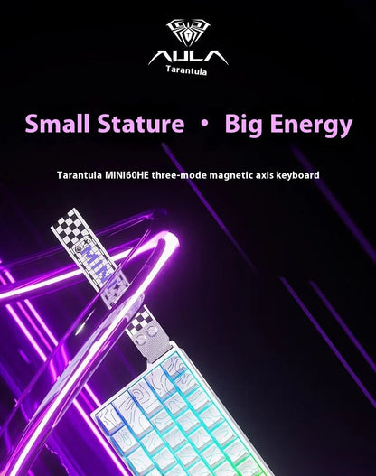 AULA Mini60 HE Magnetic Switch Keyboard RGB Tri-Mode Wireless Mechanical Keyboard, 8000Hz Gaming Keyboard with 0.01mm Rapid Trigger, Bluetooth, 2.4GHz & USB-C