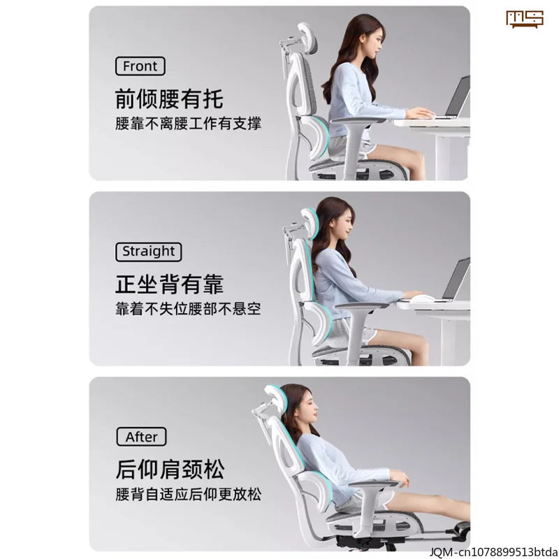 Sedia da studio ergonomica e confortevole, supporto lombare per lunghi periodi da seduti, sedia regolabile in altezza, sedia da ufficio girevole per computer a casa