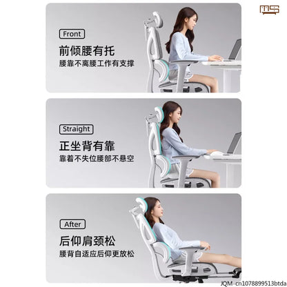 Sedia da studio ergonomica e confortevole, supporto lombare per lunghi periodi da seduti, sedia regolabile in altezza, sedia da ufficio girevole per computer a casa
