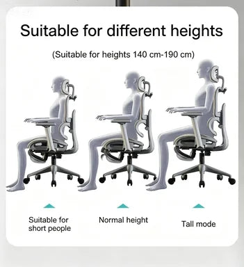 Carpeted Office Chairs Cheap Ergonomic Recliner Chairs Gaming Computer Wheels Free Shipping Adjustable Office Furniture