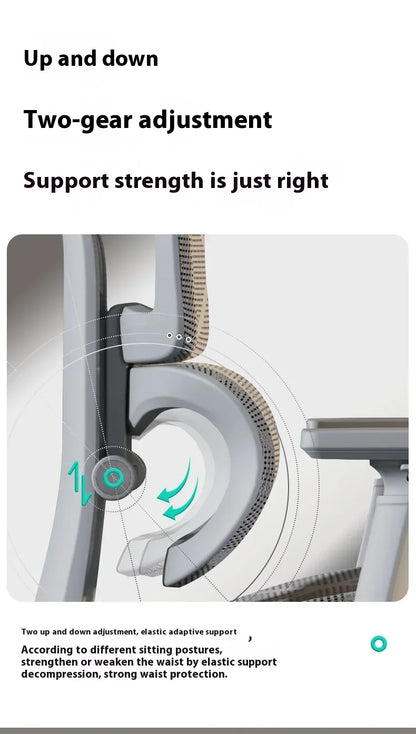 OEING High Back Ergonomic Office Chair with 3D Headrest, Adjustable Lumbar Support, 3D Armrests, Reclining Computer Gaming Chair