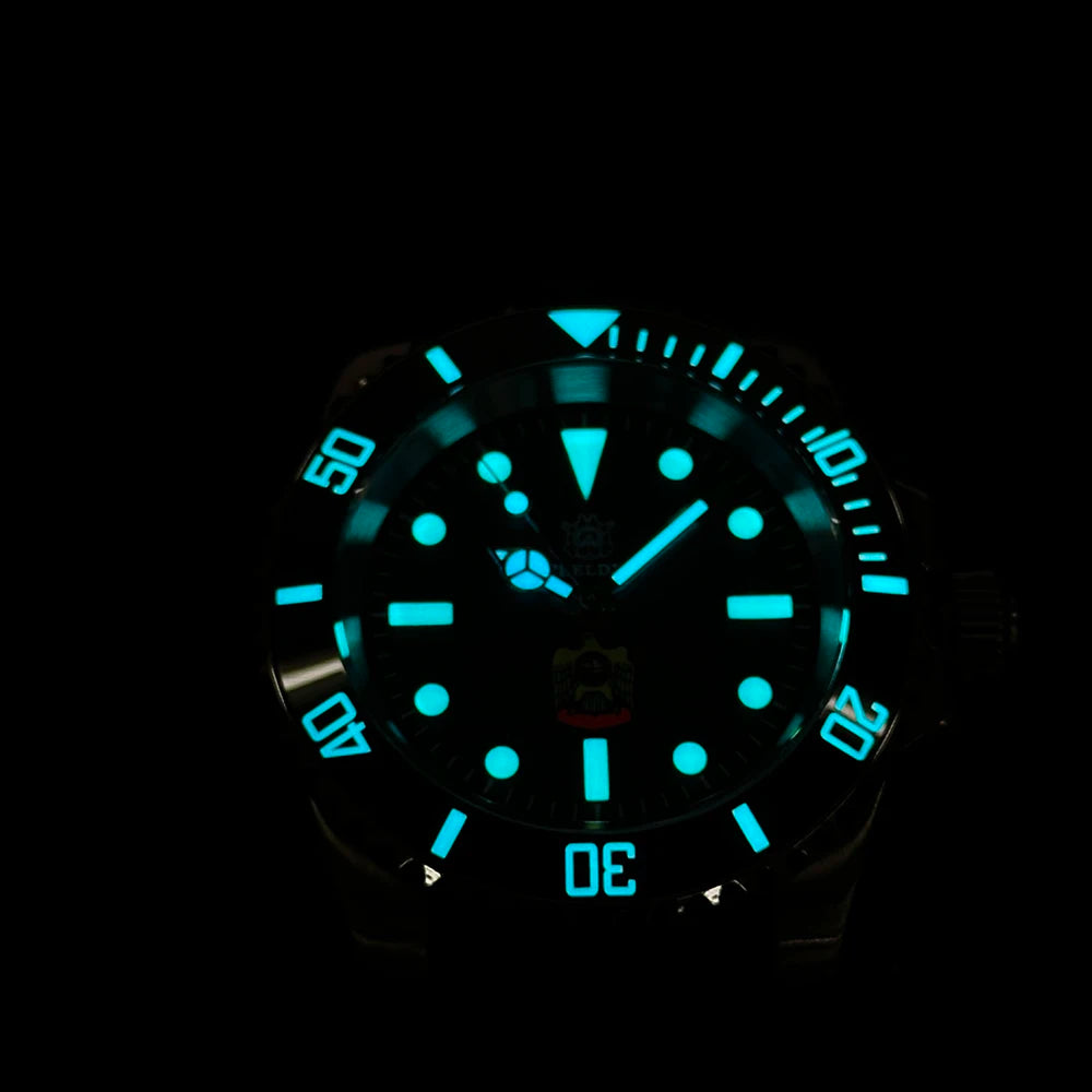 STEELDIVE SD1954 Black Dial 41MM Stainless Steel NH35 Automatic Movement What Ghost Men's 300M Dive Watch Sapphire Glass