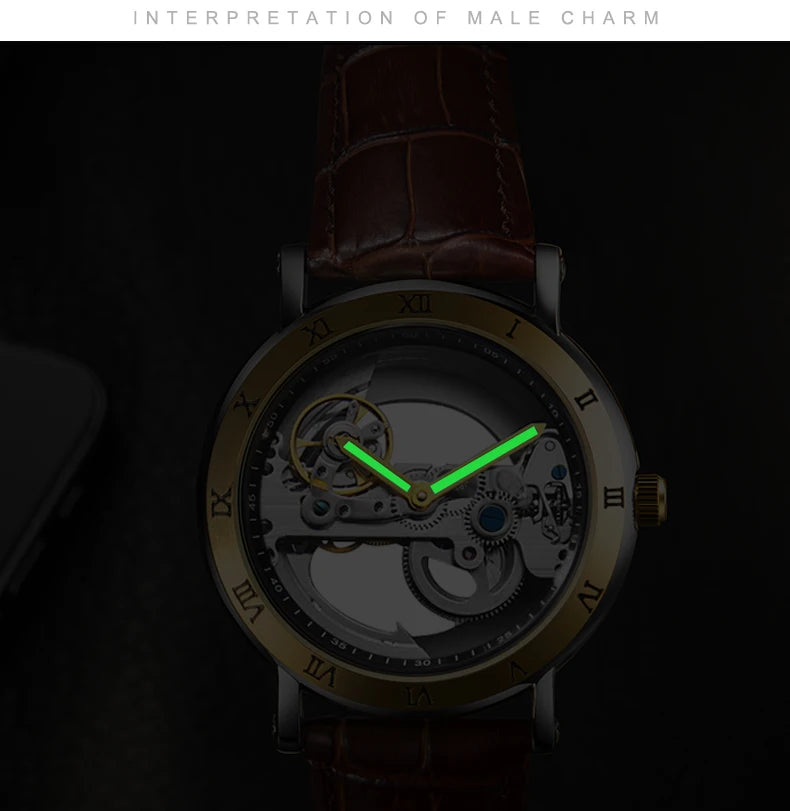 AKDPN Men's Watches Automatic Mechanical Stainless Steel Men's Wrist Watch Skeleton Automatic Watches for Man Watch Montre Homme