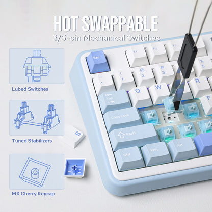 EPOMAKER TH99/TH99 Plus 96% QWERTY ANSI Wired/Bluetooth 5.0/2.4GHz Wireless Hot-Swap Gasket Mechanical Keyboard with Numpad