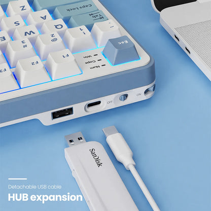Clavier mécanique RK ROYAL KLUDGE S98 avec écran TFT en surface, 98 touches, RGB, BT 5.0/2,4 GHz/USB-C, clavier gaming sans fil, remplaçable à chaud