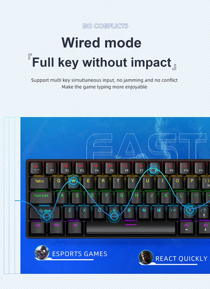 60% Portable Mini Keyboard APAYADO K61 Mechanical Keyboard Wired, 61 Keys RGB Black,White, Red/Blue Switch for Gaming