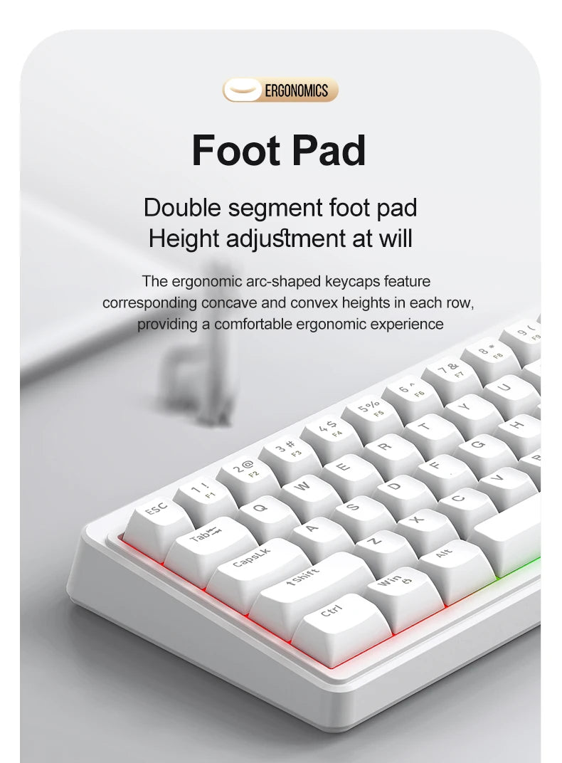 FREEWOLF M68SE 68 key wired mini keyboard, designed ergonomically, dazzling lights and compatible with multiple systems