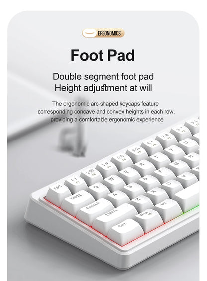FREEWOLF M68SE 68 key wired mini keyboard, designed ergonomically, dazzling lights and compatible with multiple systems