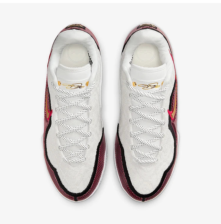 Pantofi de baschet de antrenament pentru bărbați Nike LeBron XXIII cu amortizare, autentici, IB9563-100