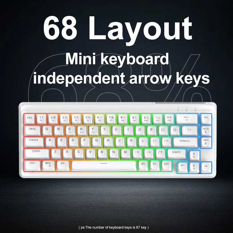 FREEWOLF M68SE Mini-Tastatur mit 68 Tasten, kabelgebunden, RGB-Hintergrundbeleuchtung, Type-C, 68-%-Layout, kompakt, für Gaming, Büro, PC und Laptop
