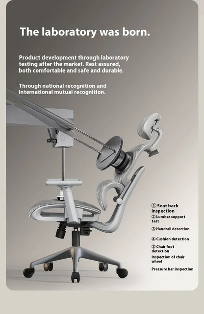 OEING High Back Ergonomic Office Chair with 3D Headrest, Adjustable Lumbar Support, 3D Armrests, Reclining Computer Gaming Chair