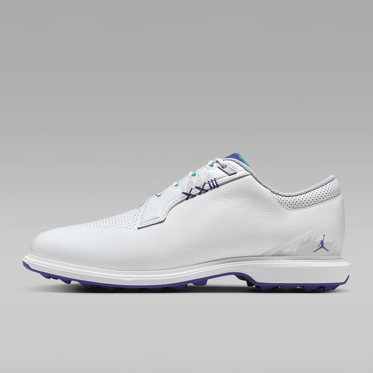 Nike Authentic Jordan ADG 5 W Men's Sports Golf Shoes FQ7874-100