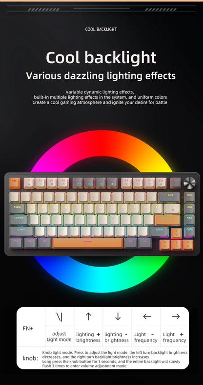 APAYADO 75% Mechanical Keyboard Wired Gaming Keyboard with Media Knob, Hot-Swappable RGB Backlit 82-Key Mechanical Keyboard for PC & Laptop