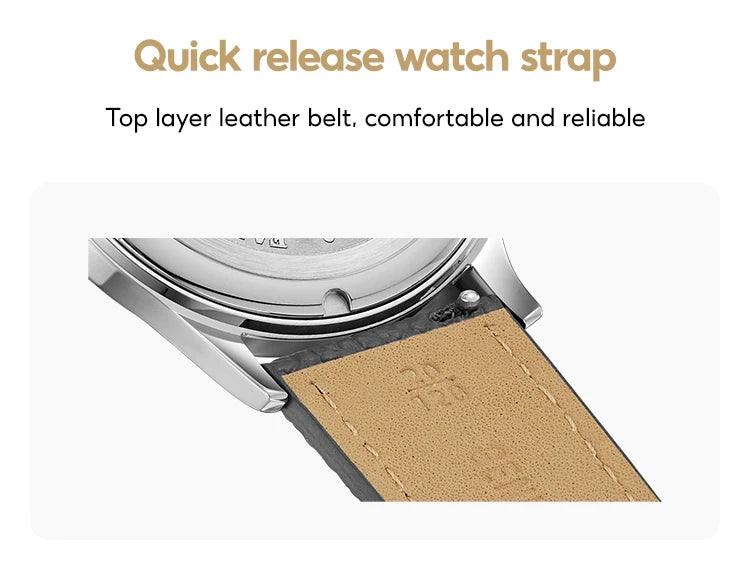 FARASUTE Manual Mechanical Men's Watch Seagull Movement Sapphire Crystal Business Waterproof Regulateur Men's Watch
