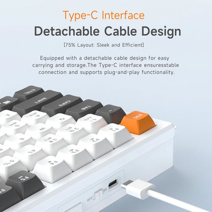 AJAZZ AF82 Office Low Profile Tastatur RGB kabelgebundene/kabellose Gaming-Tastatur 75% Layout 82 Tasten 4000mAh Akku für Win/Mac