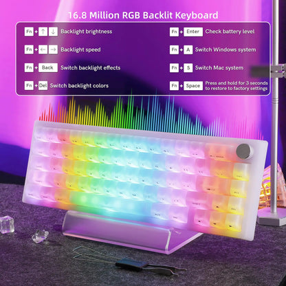 Womier Q61 V2 Wireless 65% Mechanical Keyboard with Knob VIA Programmable Support Tri-Mode BT/2.4G/USB-C Hot-Swap RGB for Mac/PC